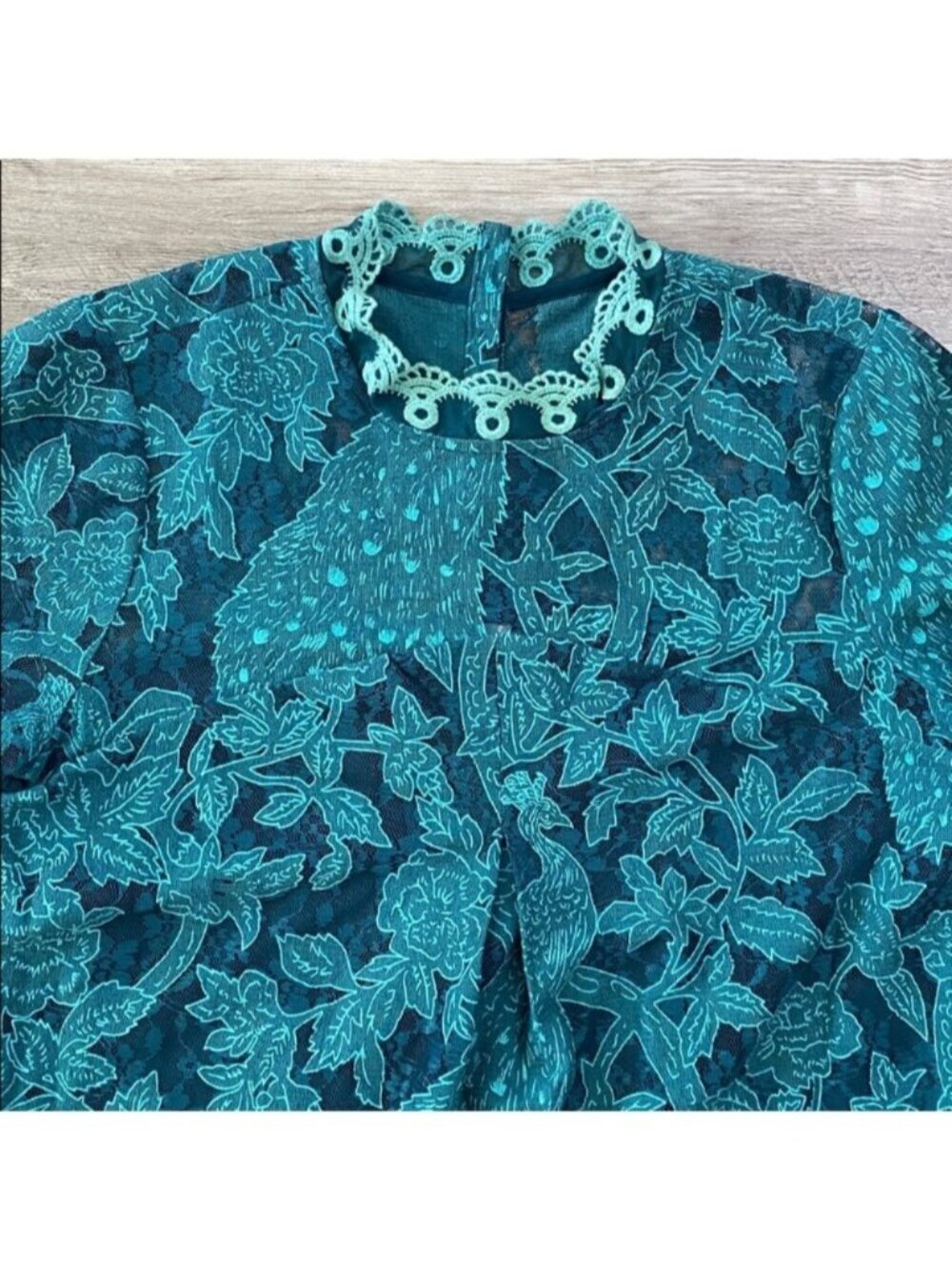 HD in Paris Anthropologie Lace Overlay Blouse Green Scallop Trim $118 Sz 10 - Picture 9 of 11